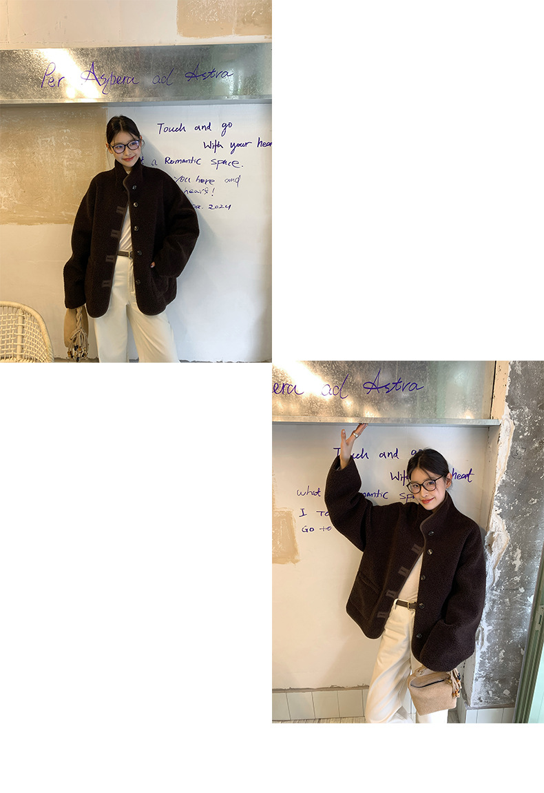 趋梦DT ETOLIE韩版立领仿羊羔毛外套女十三行新款皮毛一体皮草女详情17