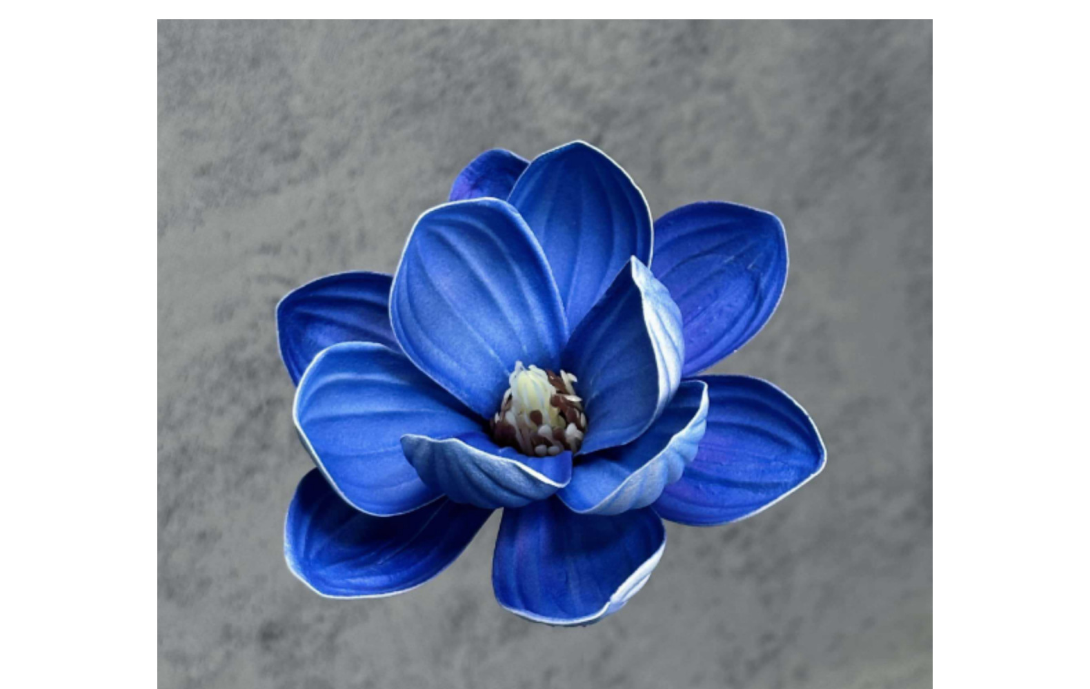 跨境仿真花EVA玉兰花头13cm手感头饰木棉花布置装饰假花摆件批发详情18