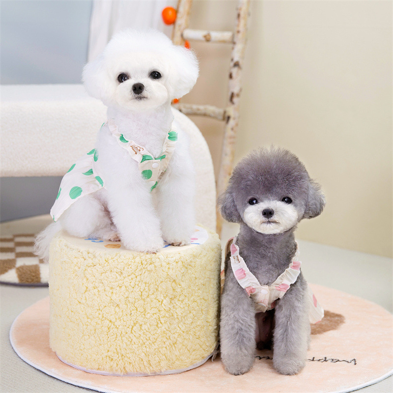 狗衣服春夏新款泰迪比熊贵宾裙轻薄可牵引大圆点裙子宠物衣服批发详情3