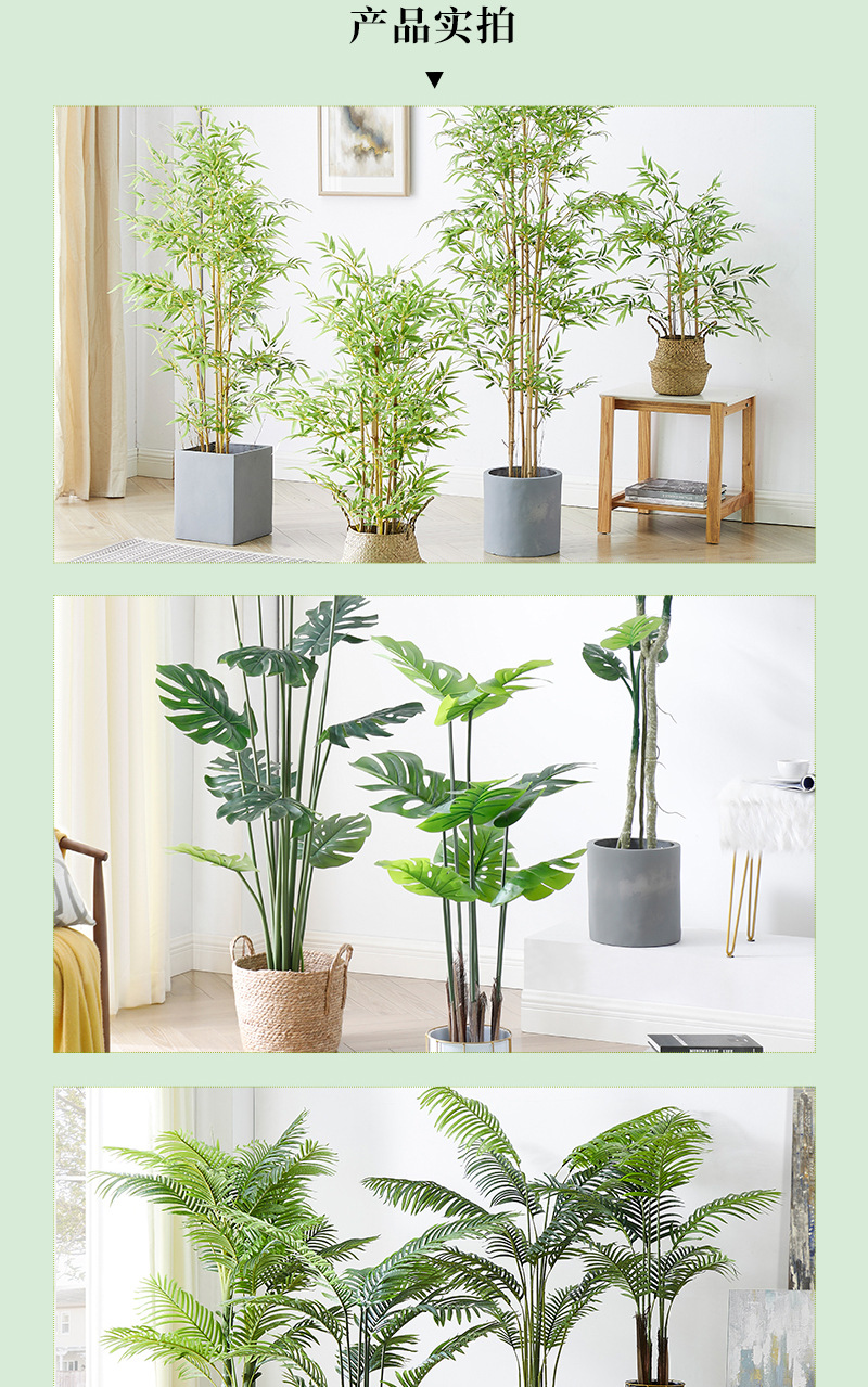 Gran nórdico planta de simulación sala de estar falsa plantación verde árbol de simulación plantación plantación de canna yuanhua maceta decoración de paisaje plantación verde simulada pic 12