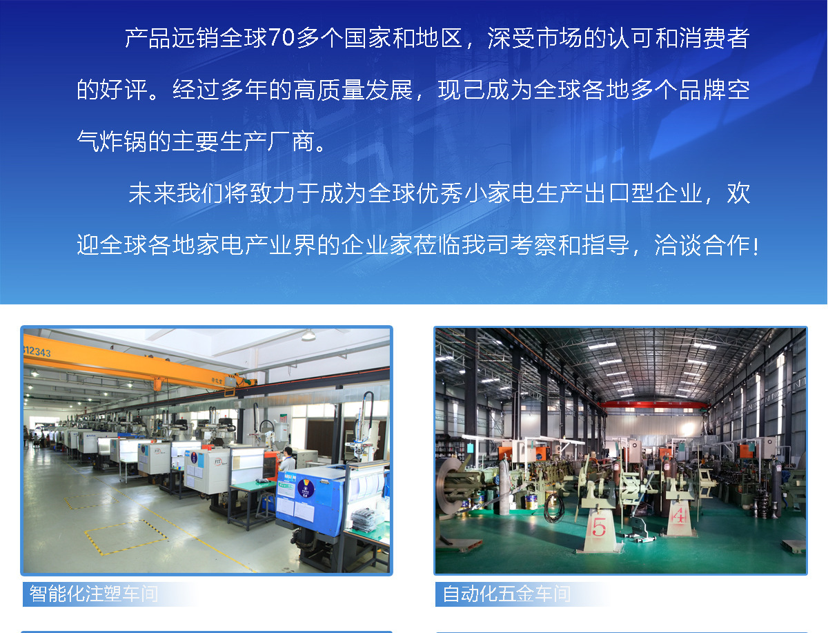 12L air fryer, new household electric fryer, 110V-220V, cross-border export split electric oven, French fries machine pic 2