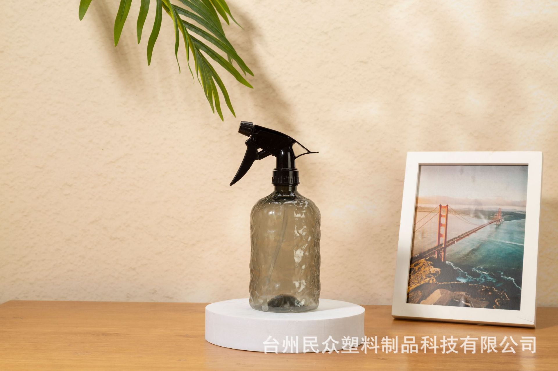 跨境渐变喷壶家用酒精消毒喷雾瓶园艺养花浇水壶美发小容量喷雾器详情8