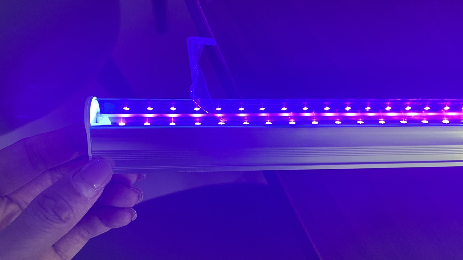 T8一体化LED紫光灯管365 395NM固化晒版诱蚊游泳池UV紫外灯管详情19