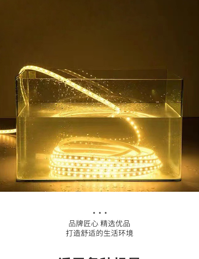 led灯带低压24V实心硅胶IP68户外防水高亮水底灯带亮化水池景观灯详情12