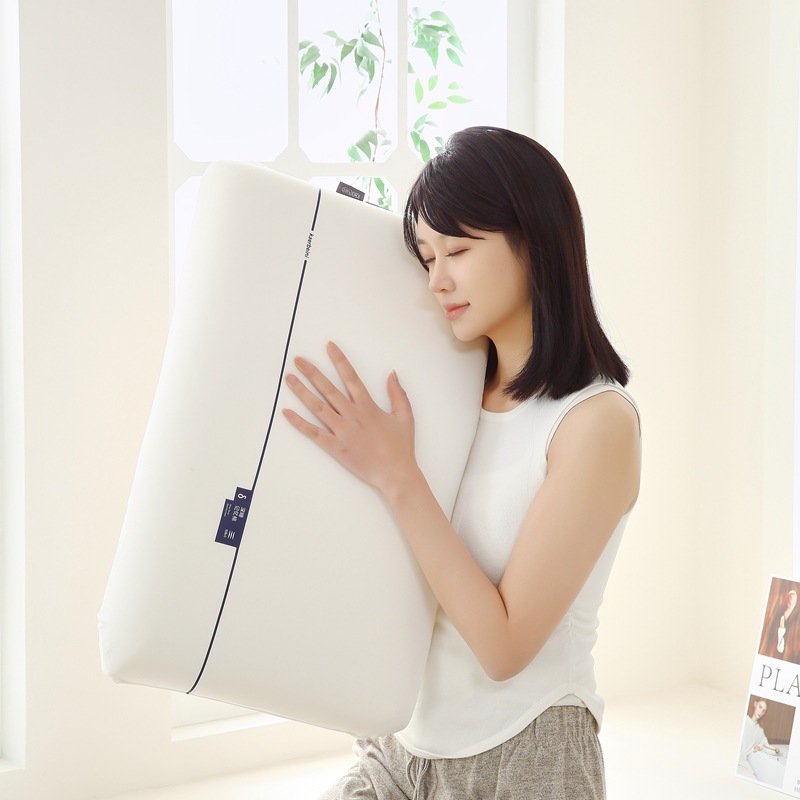 Planet Pillow pro Dual-core zero-pressure slow-rebound Memory Pillow core Hotel sleep Aid pillow pair neck support pillow pic 12