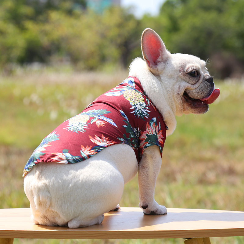 Pequeño y mediano perro playa piña camisa hawaii mascota perro gato golden hair primavera verano fino ropa artículos pic 18