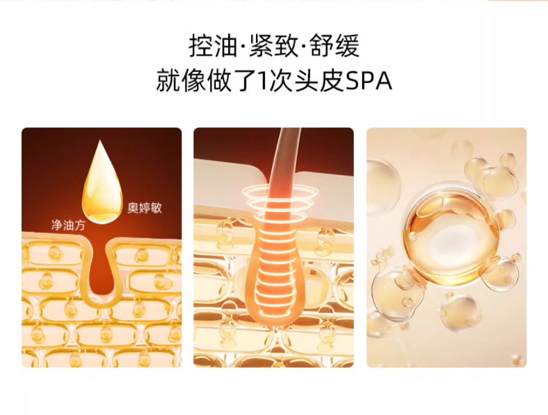 2025 New EMS multi-functional Facial lifting, firming and Massage Device for Hair Care and Nourishment pic 4