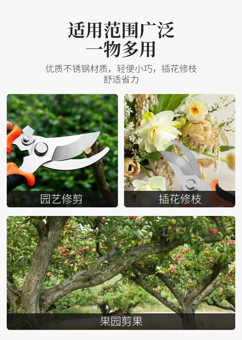 强力修枝剪果树粗枝剪刀家用省力园艺剪枝的剪园林树枝剪剪枝的剪详情4