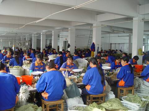 3CM DIY headwear with diamond-encrusted rose flowers, handcrafted fabric with diamond-encrusted 9-cornered small flowers, clothing accessories, ornaments and accessories pic 13