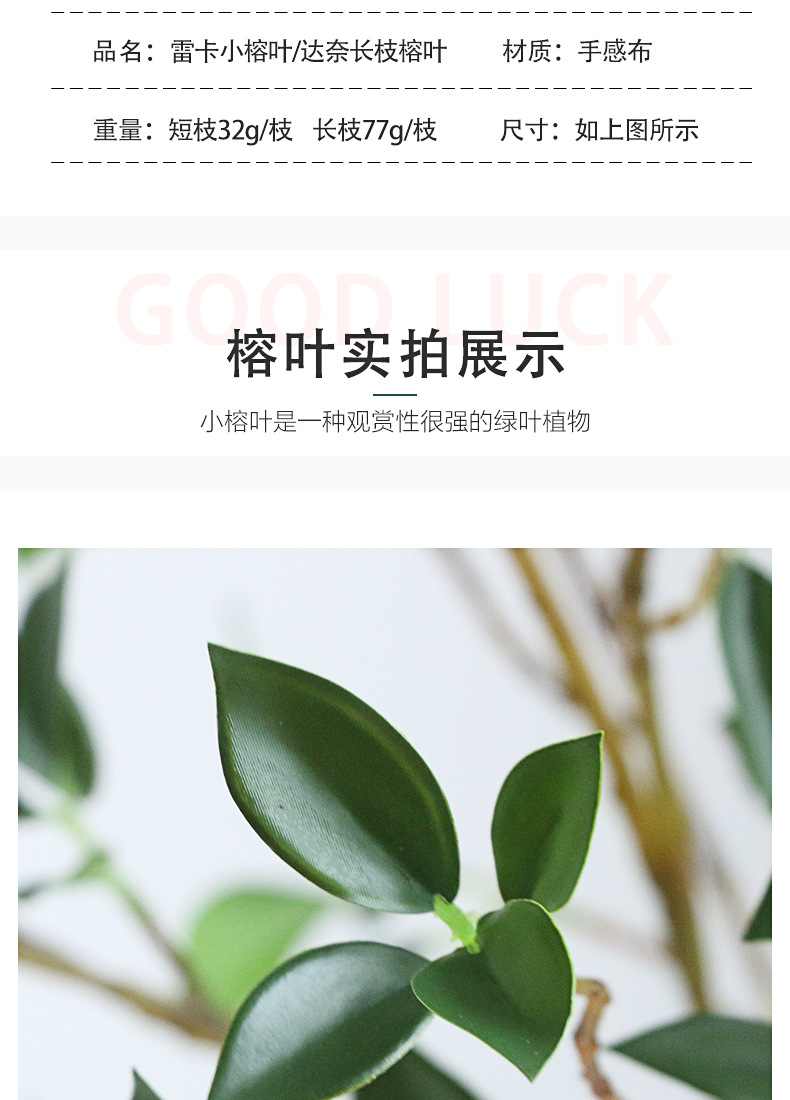 仿真绿植米兰叶榕树叶小清新家居茶几装饰人造假花办公园艺摆件榕叶绿植绿植装饰品详情16
