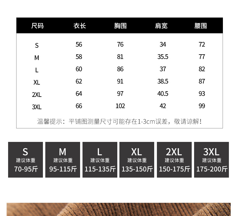 秋冬季磨毛椰绒小立领正肩内搭打底衫女德绒可外穿高级感上衣t恤详情9