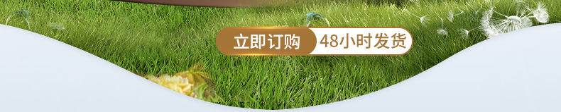成长日记宠物纸尿裤狗狗生理裤母狗姨妈巾公狗尿不湿DONO'S DIARY详情5