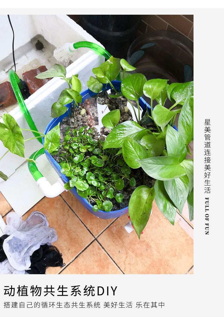 PVC接头管件大全水管配件弯头给水塑料鱼缸胶水三通四通4分 20 25详情18