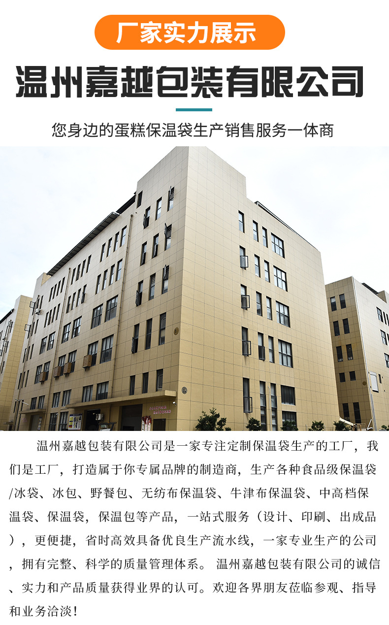 厂家直供无纺布保温袋便当铝箔保鲜冰袋外卖饭盒午餐包现货印LOGO详情13