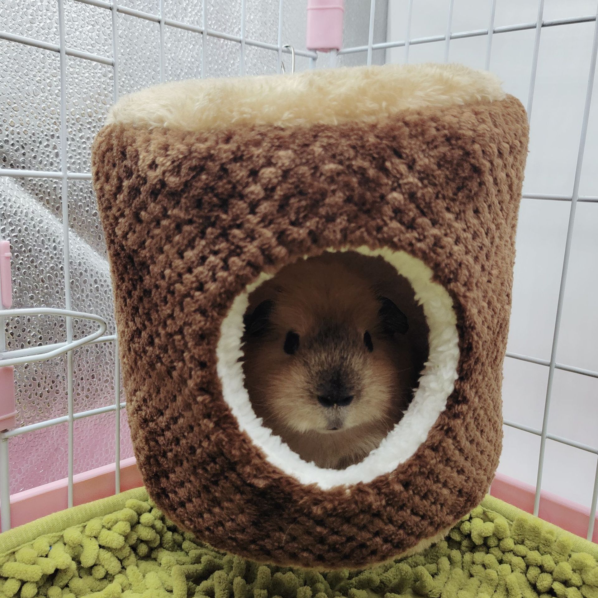 Hamster nest, rabbit, Dutch pig, guinea pig nest, sugar glider, squirrel, warm cotton nest, hammock, guinea pig nest, pet supplies pic 13