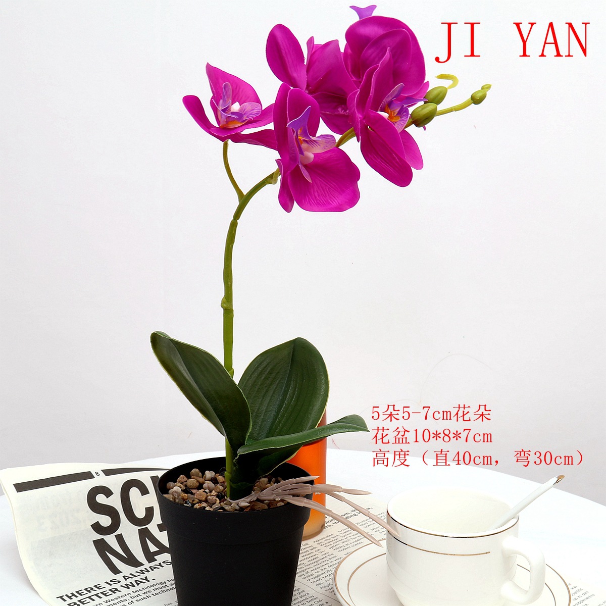 工厂批发家居装饰仿真蝴蝶兰盆景假花仿真蝴蝶兰盆栽仿真盆栽植物详情1