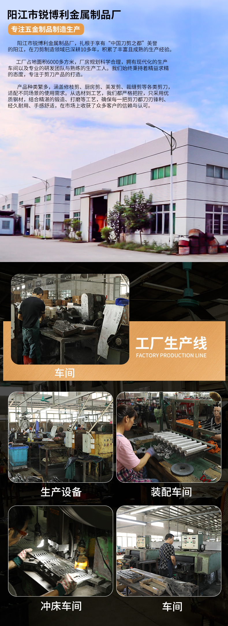强力修枝剪果树粗枝剪刀家用省力园艺剪枝的剪园林树枝剪剪枝的剪详情11