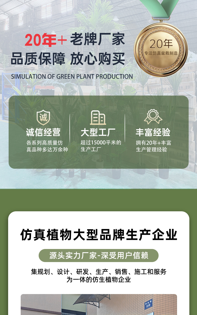 Gran nórdico planta de simulación sala de estar falsa plantación verde árbol de simulación plantación plantación de canna yuanhua maceta decoración de paisaje plantación verde simulada pic 2