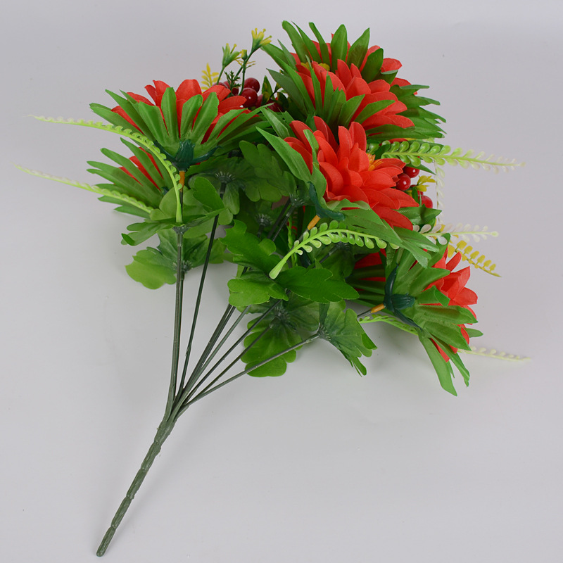 10头7耳菊02.JPG