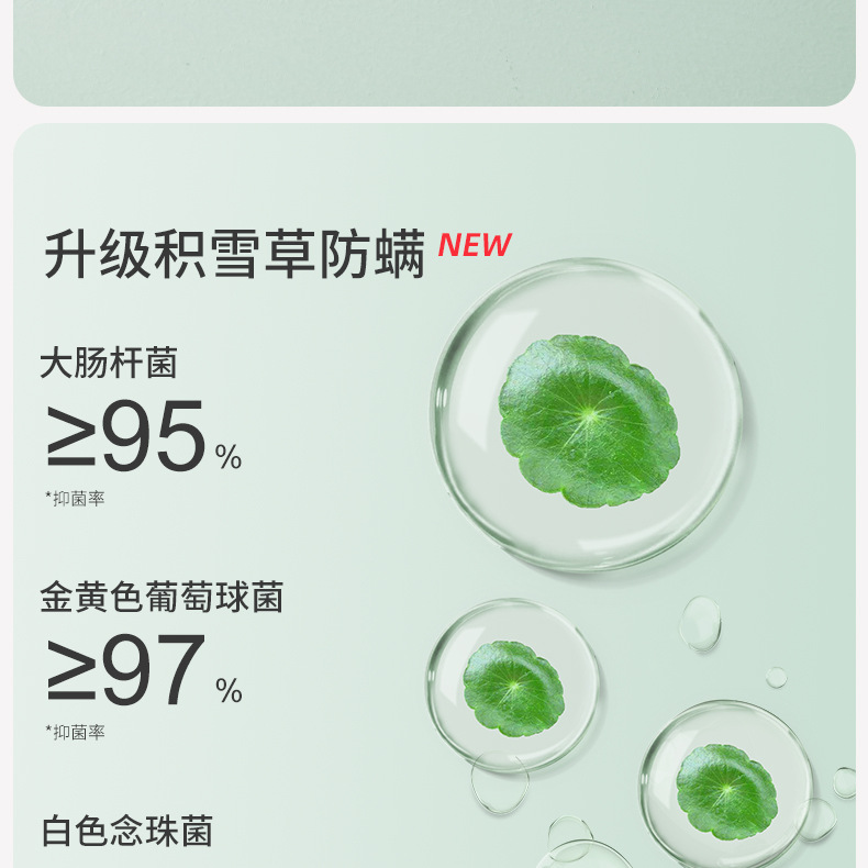 二阶段少女文胸青少年初中生运动内衣2025新款13岁女大童A类背心详情7