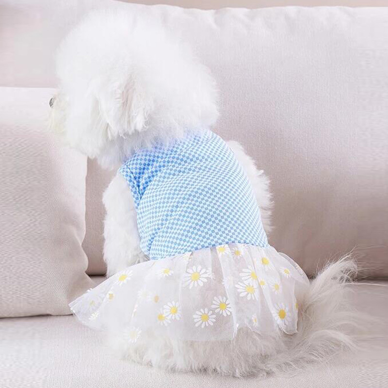 T All-season universal cat and dog clothing, pet chiffon skirt, Bichon Frise, Teddy, Yorkshire Terrier, Schnauzer small dog clothing pic 6