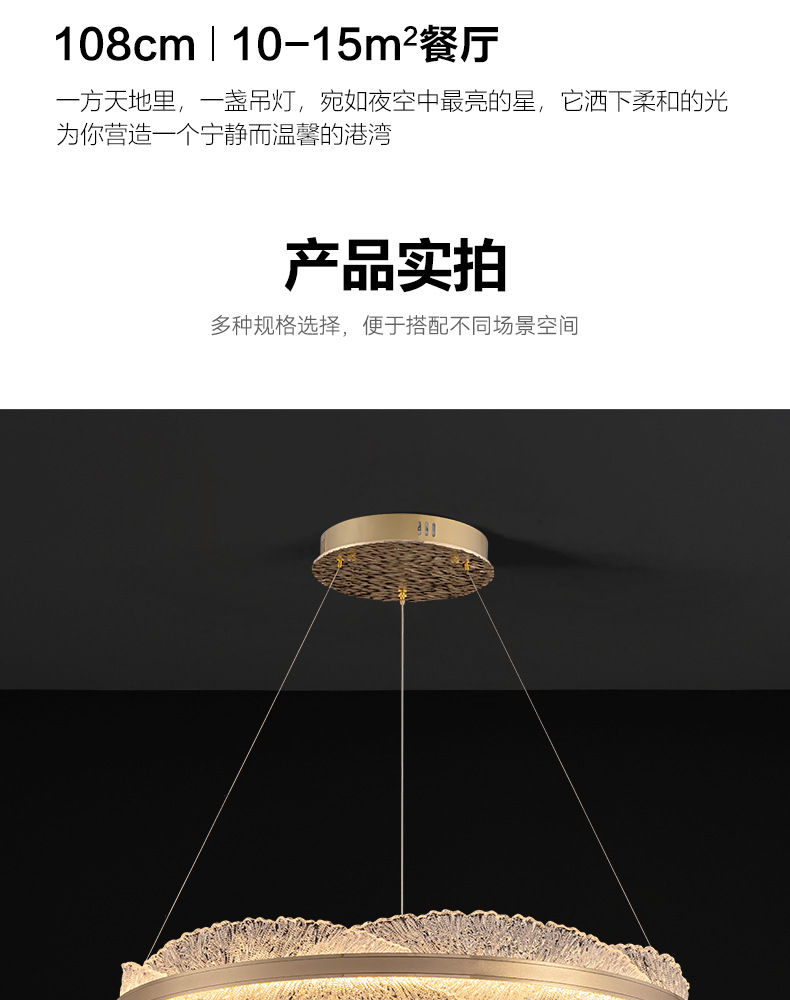 Modern light luxury living room chandelier, circular led hall light, designer creative model room, bedroom and dining room lighting fixtures pic 8