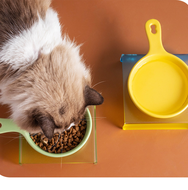 Wow Customized Korean BD flat pan, cat and dog pet bowl, ceramic slow food bowl, anti-tipping and non-black chin cat food basin pic 6