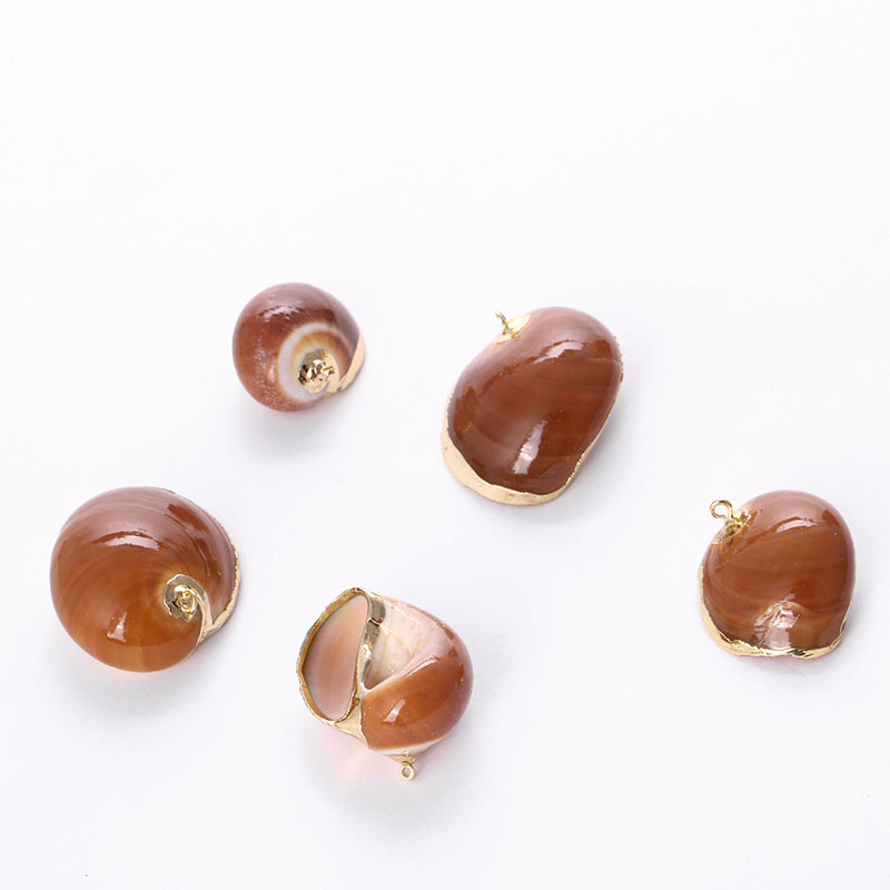 Gold-rimmed natural shell popular bracelet accessories, small conch light luxury, niche semi-finished diy accessory materials pic 3
