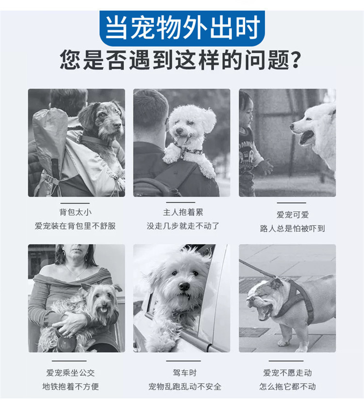 宠物猫包新款潮流时尚 可手提斜跨休闲透气 宠物用品小狗背包详情5