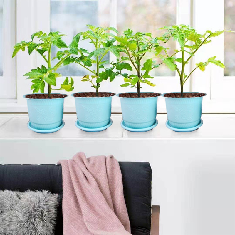 加厚落地式性稳定情绪阳台花卉解压植物多肉绿植郁金香塑料槽详情4