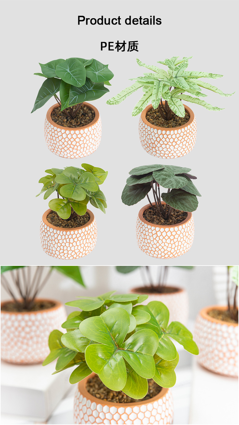 亚马逊创意绿植盆景装饰仿真彩叶芋塑料盆栽宠物园艺盆景批发绿植装饰品详情5