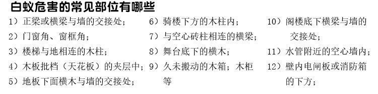 严选75克柏松白蚁杀虫粉消灭白蚁传染全巢死亡杀除白蚁家用白蚁药详情16