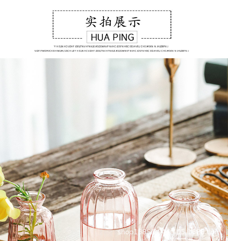 Wholesale of Amazon transparent glass vases, colorful small-mouthed, small-sized vertical patterned hydroponic fresh flower tabletop decorative items pic 9