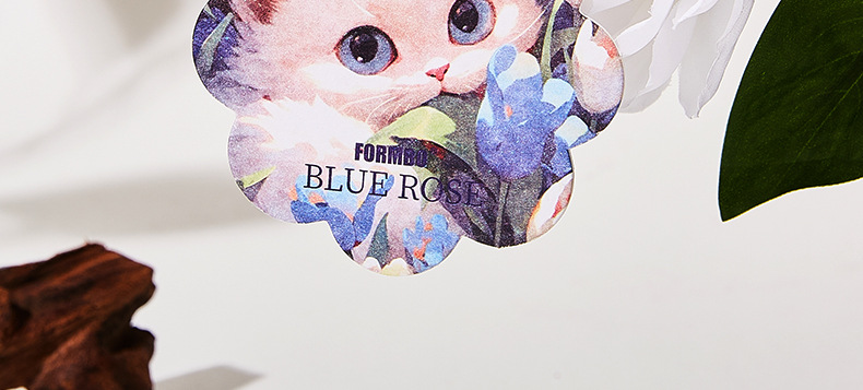 【跨境专供】FORMBO香薰卡片可爱卡通持久留香小巧香薰卡片批发详情18