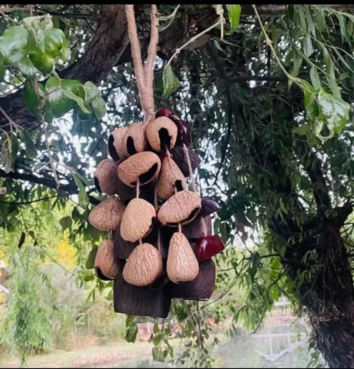 A complete set of diy materials for fruit shell wind chime pendants, handcrafted fruit mixed three-fruit hand-cranked bells pic 10