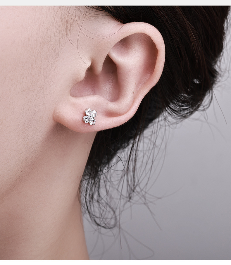 Zhuoheng Select 2026 New Four-leaf Clover Stud Earrings for Women, 925 sterling silver, Niche, high-end design, trendy Luck Clover earrings pic 6