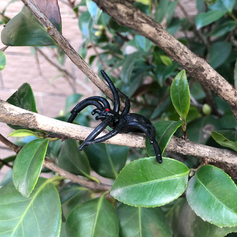 跨境新奇整人恶搞仿真黑蝎子蝙蝠老鼠蜘蛛万圣节整蛊塑胶玩具批发详情8