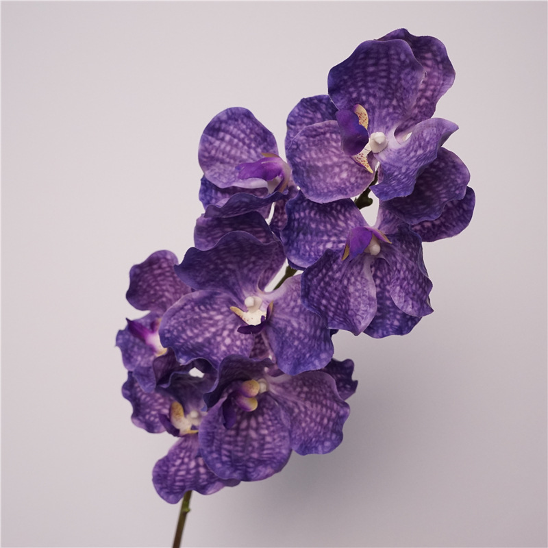 高品质仿真花手感万代兰婚庆家居装饰花软装插花胡姬兰胸花手捧花详情2