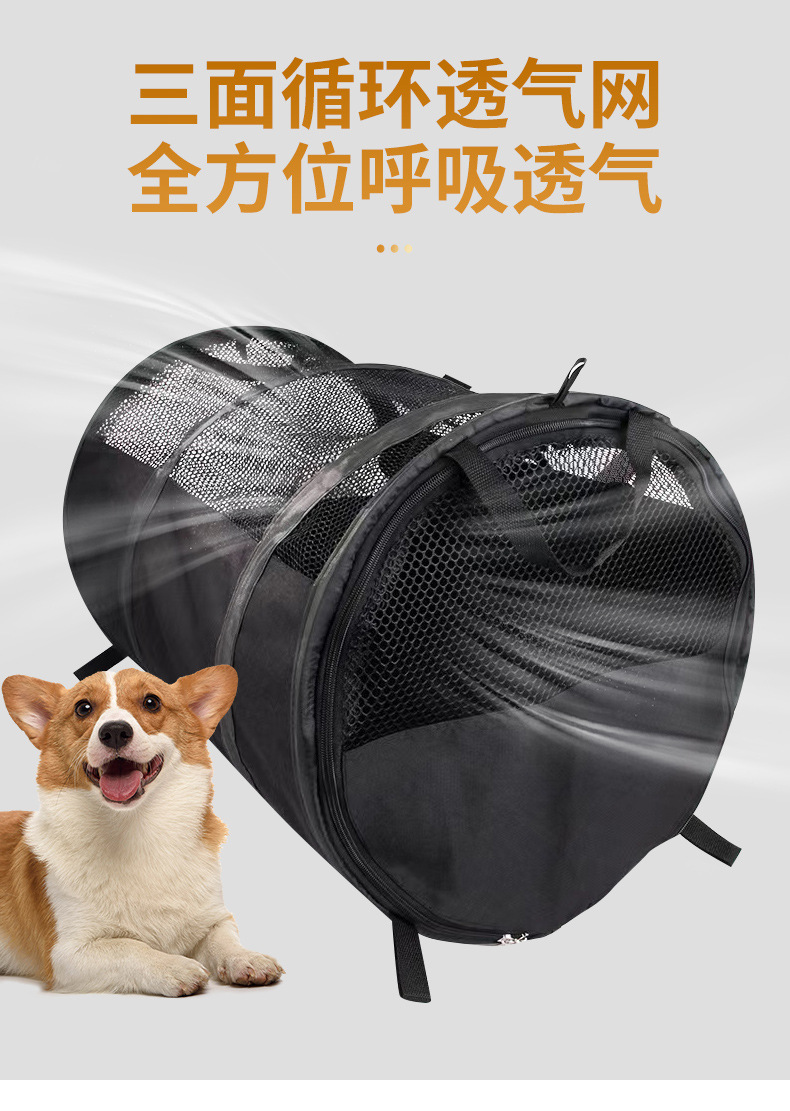 Новые домашние питомцы, которые выходят на улицу, чтобы проветриться pic 4