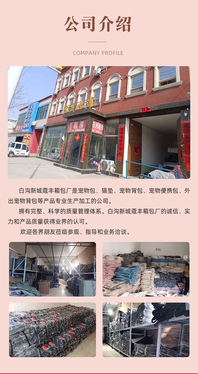 【 Customized Processing 】 Cat bag space capsule with protective cover, fully transparent, double-shoulder portable pet bag, highly breathable pic 12