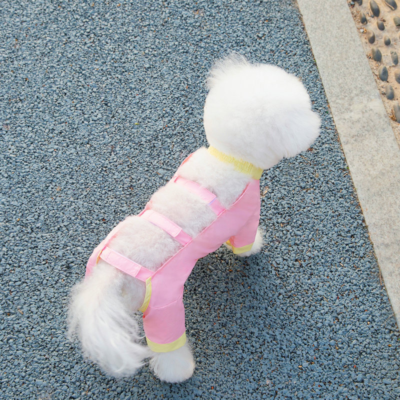 Dog dust-proof pants, walking pants, spring and summer anti-dirt and anti-insect light four-leg pants, leg guards, small dog spring and summer clothes pic 5