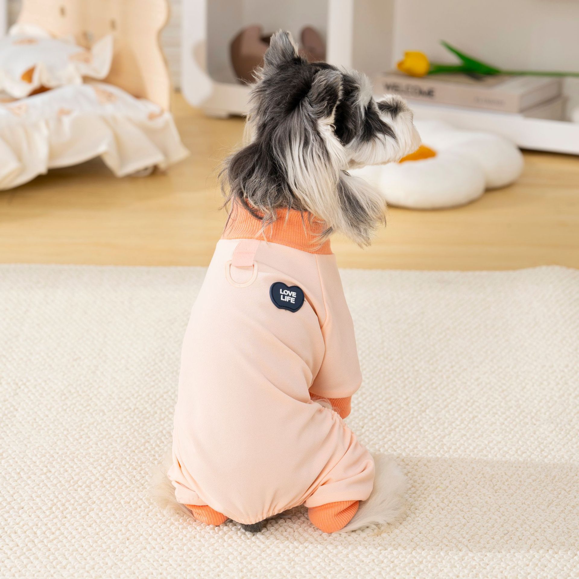 宠物狗狗春秋装居家休闲四脚衣比熊泰迪雪纳瑞可牵引薄款狗衣服详情13