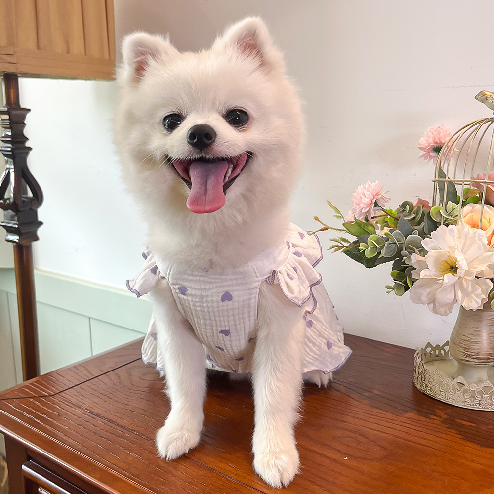 Mascotas vestido ropa ropa primavera verano perro gato teddy by bear pomerania muppet gato amor 100% algodón pic 21