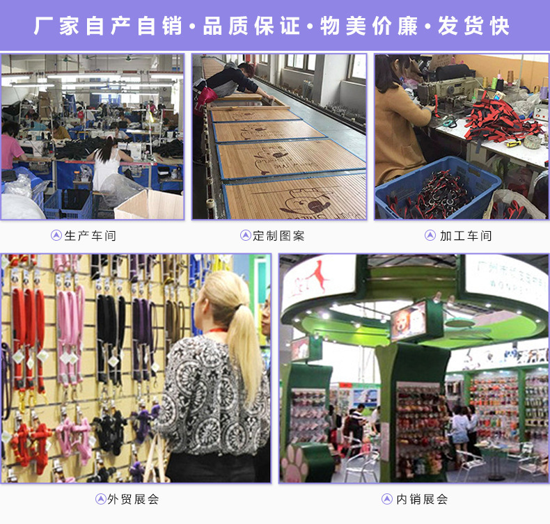 亚马逊新款仿真昆虫逗猫棒替换头猫咪解闷自嗨玩具逼真昆虫替换头详情17