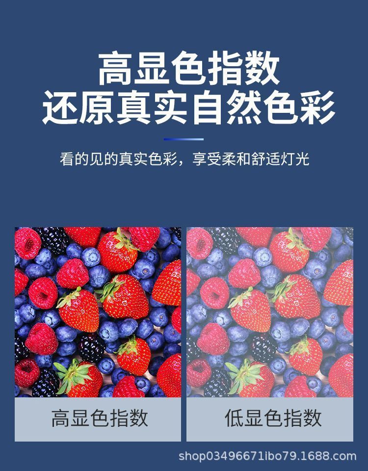 FSL佛山照明T8led灯管双端一体式日光灯1米2t8led灯管整套详情10