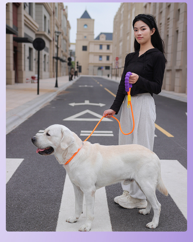 Outdoor dog leash, large dog P-chain pet leash, medium and large dog explosion-proof impact multi-functional dog walking leash pic 14