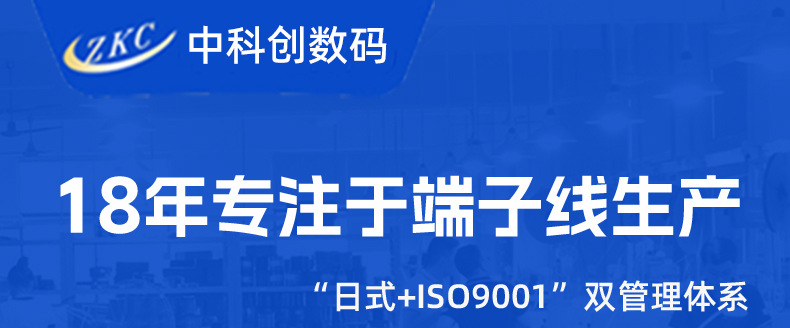 排线端子连接线 PH2.0红白排线端子线 XH2.54蓝白端子排线电子线详情1