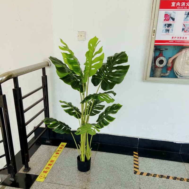 工厂店仿真龟贝叶盆栽景观婚庆酒店民宿摄影道具软装绿植装饰摆件详情17