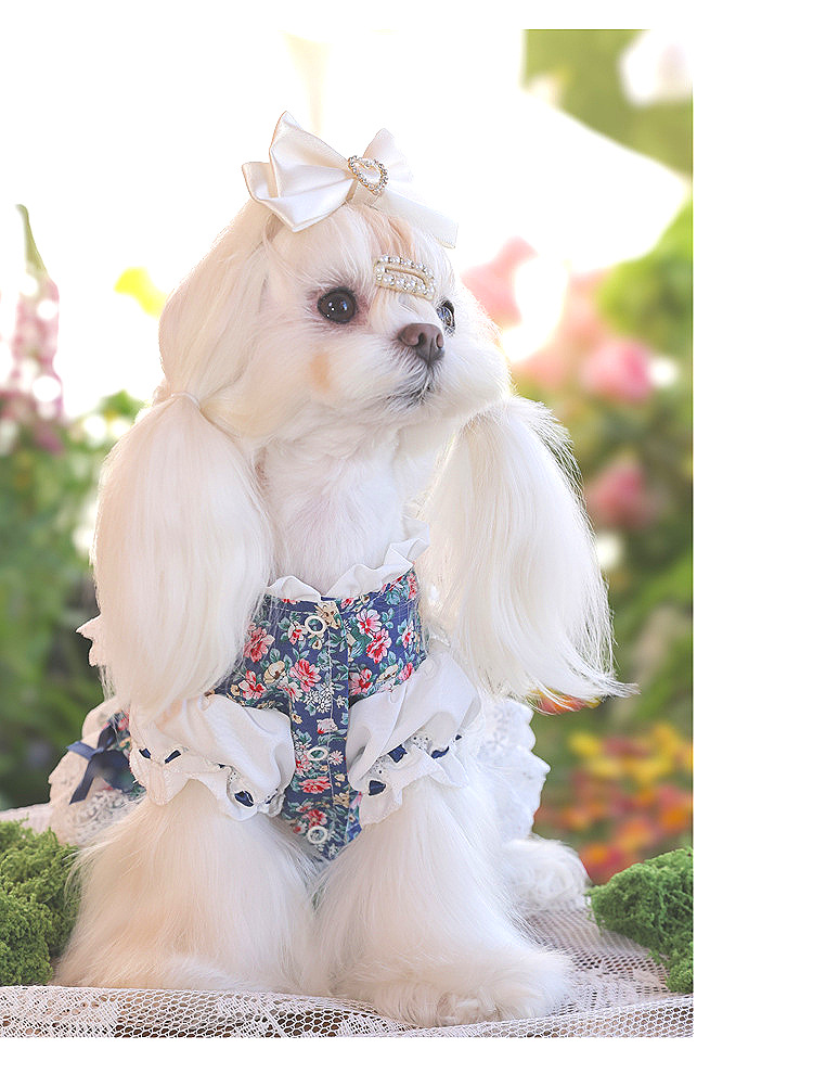 安贝妮高级感宠物衣服高定狗狗碎花泰迪小型犬茶话会小狗公主裙详情24