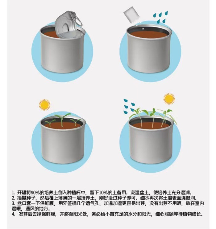幼儿园儿童种植小盆栽学生迷你水果小盆栽盲盒办公室内桌面绿植物详情9
